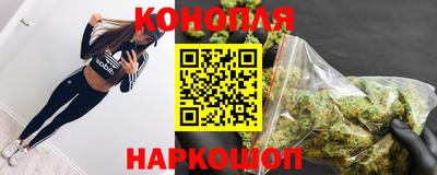 прущие грибы Пушкино